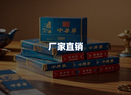 专业团队办公环境
